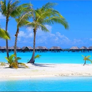 Meet your Posher, Sal